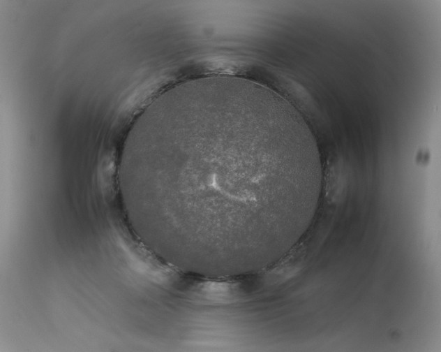 X0000114110314200910051520