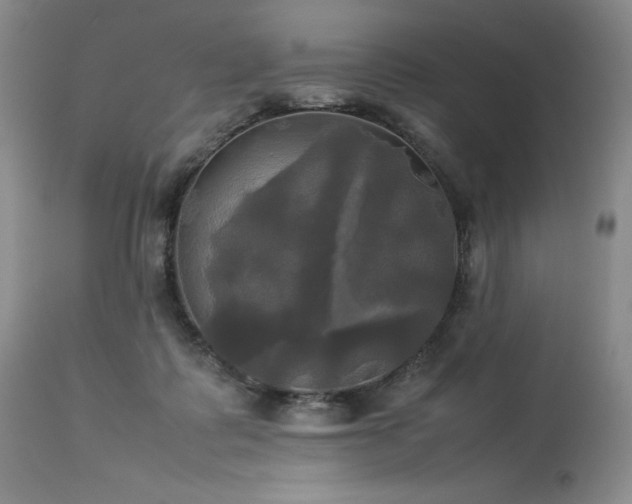 X0000114110315200910051520