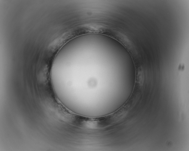 X0000114110318200910051520