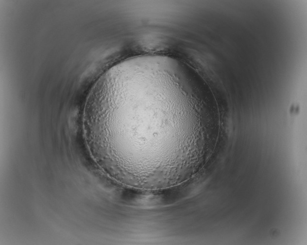 X0000114110319200910051520