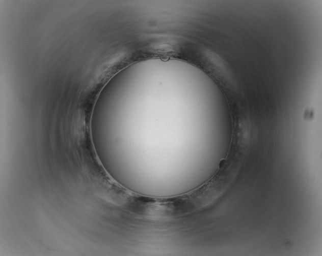 X0000114110320200910051520