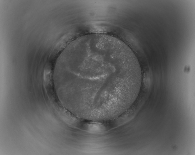 X0000114110322200910051520
