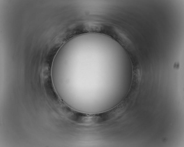 X0000114110323200910051520