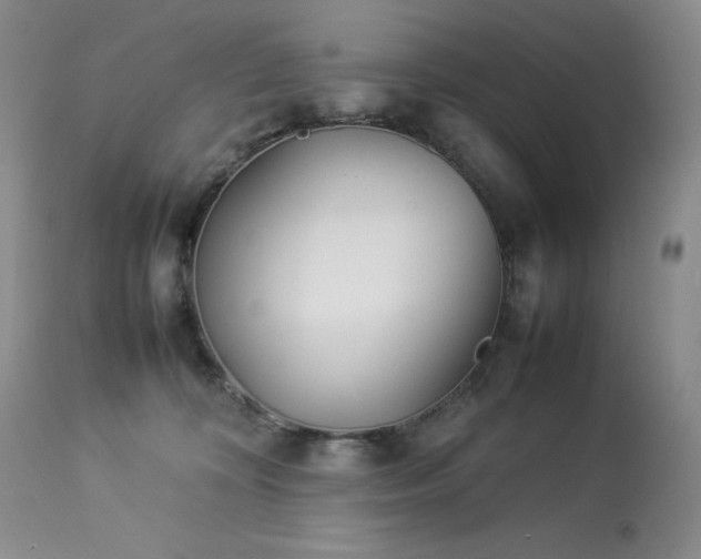 X0000114110324200910051520