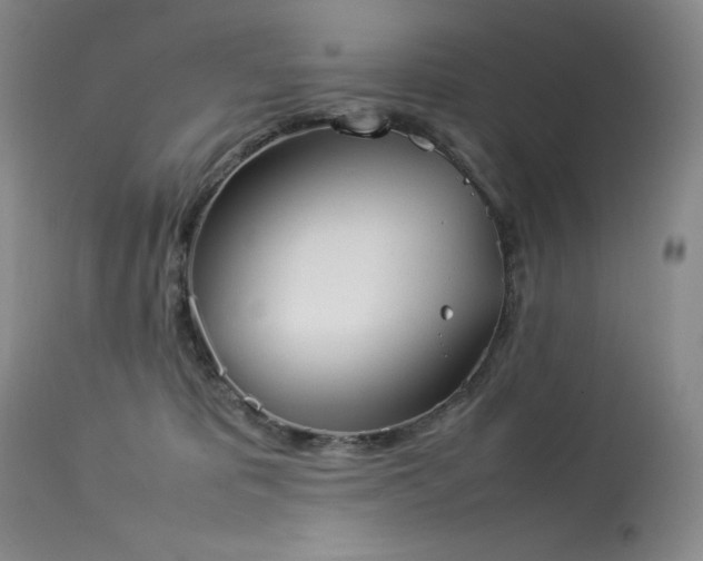 X0000114110325200910051520