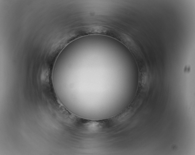 X0000114110326200910051520
