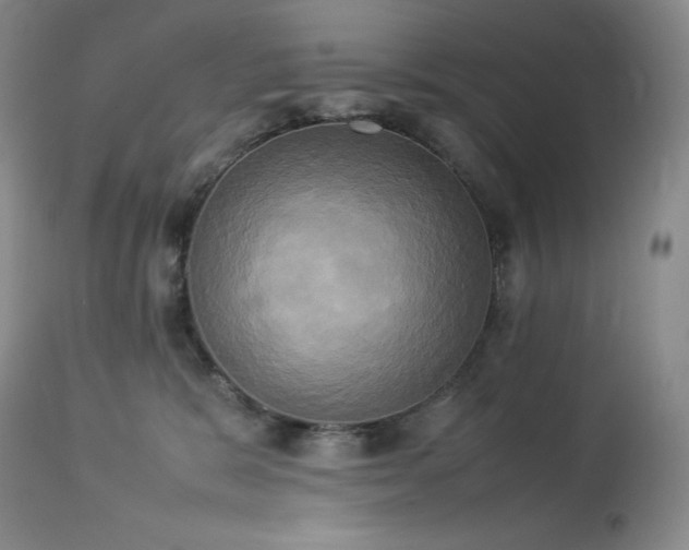 X0000114110327200910051520