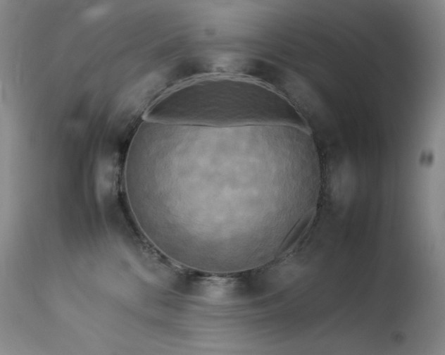 X0000114110328200910051520