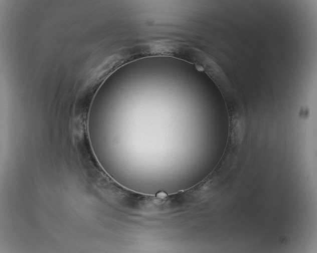 X0000114110329200910051520