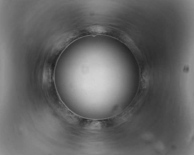 X0000114110330200910051520