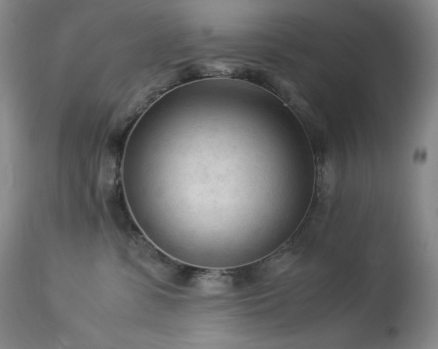 X0000114110331200910051520