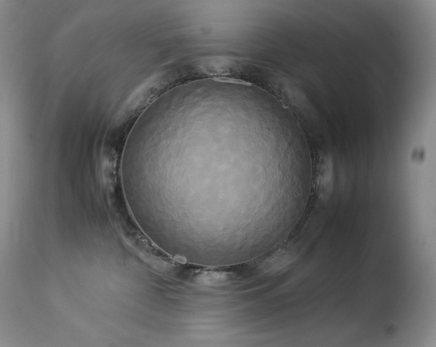 X0000114110332200910051520