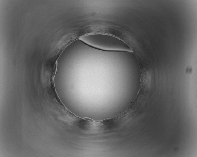 X0000114110333200910051520