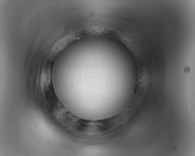 X0000114110334200910051520
