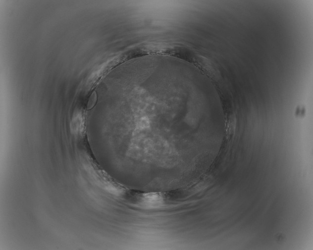 X0000114110335200910051520