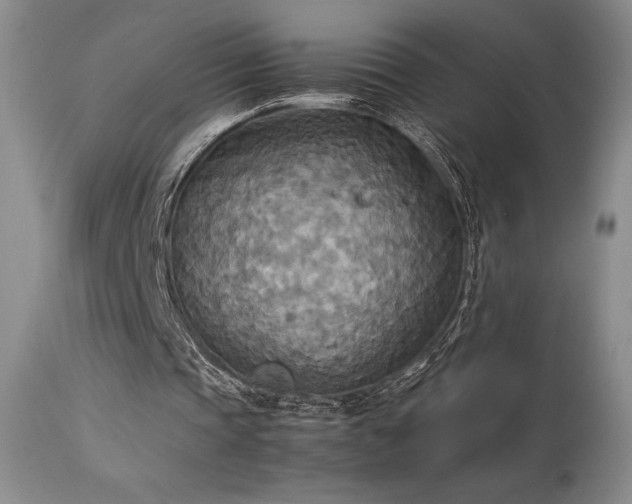 X0000114110337200910051519