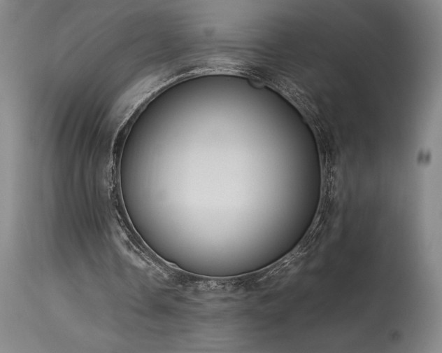 X0000114110338200910051519