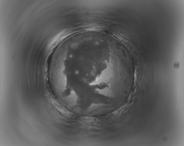 X0000114110339200910051519