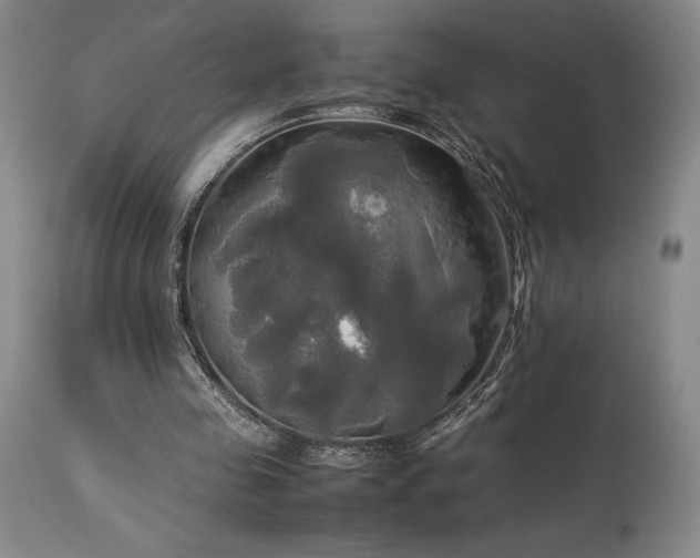 X0000114110341200910051519