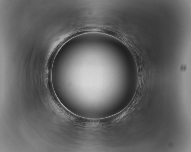 X0000114110342200910051519