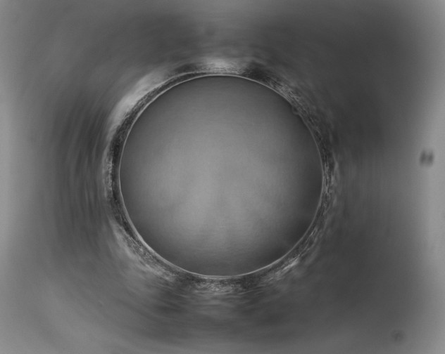 X0000114110343200910051519
