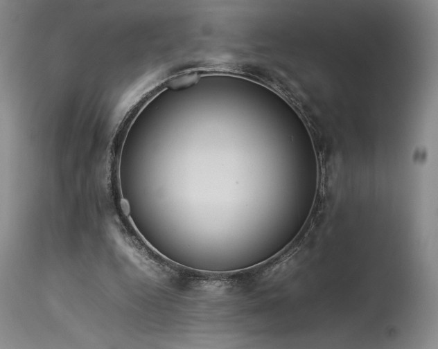 X0000114110344200910051519