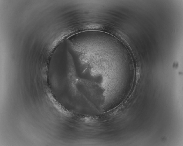 X0000114110345200910051519