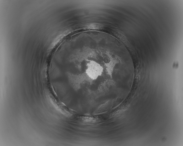 X0000114110347200910051519