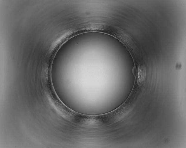 X0000114110348200910051519