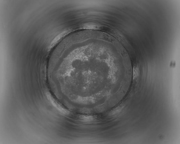 X0000114110349200910051519