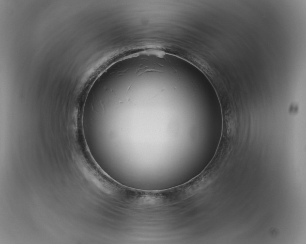 X0000114110350200910051519