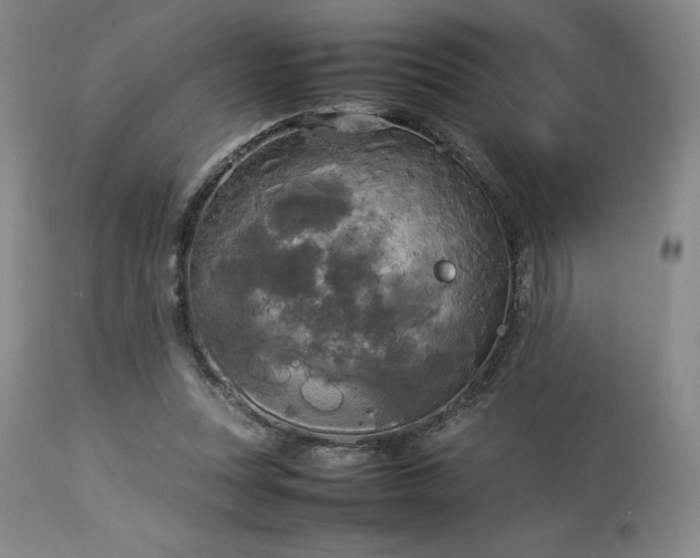 X0000114110351200910051519