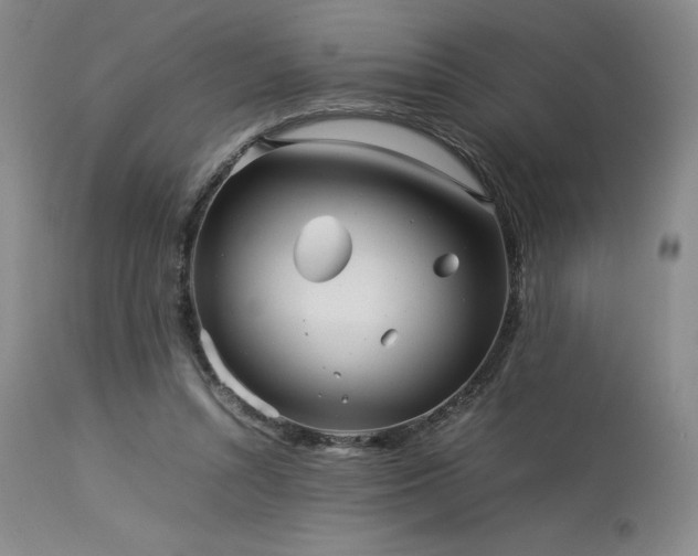 X0000114110352200910051519