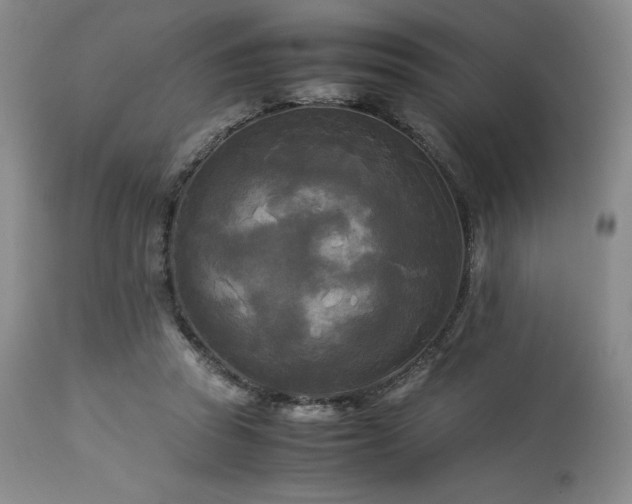 X0000114110353200910051519