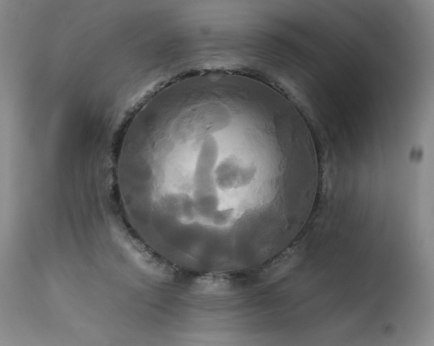 X0000114110354200910051519