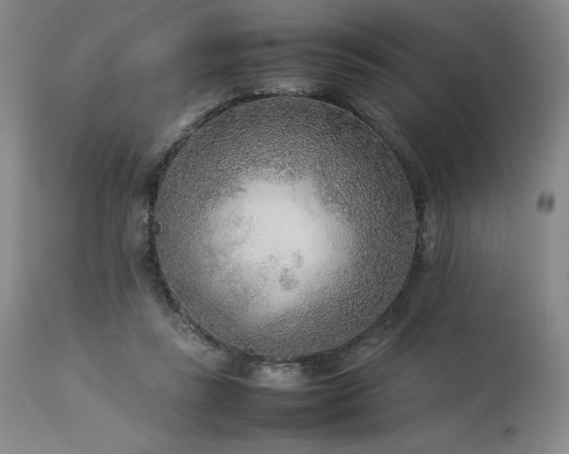 X0000114110355200910051519