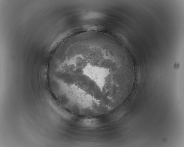 X0000114110357200910051519