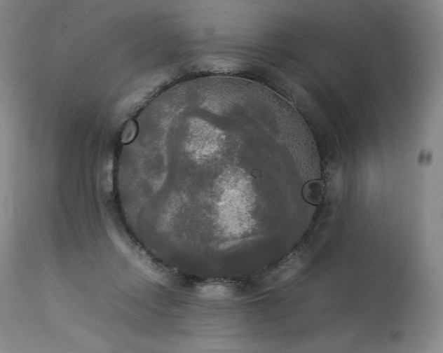 X0000114110358200910051519