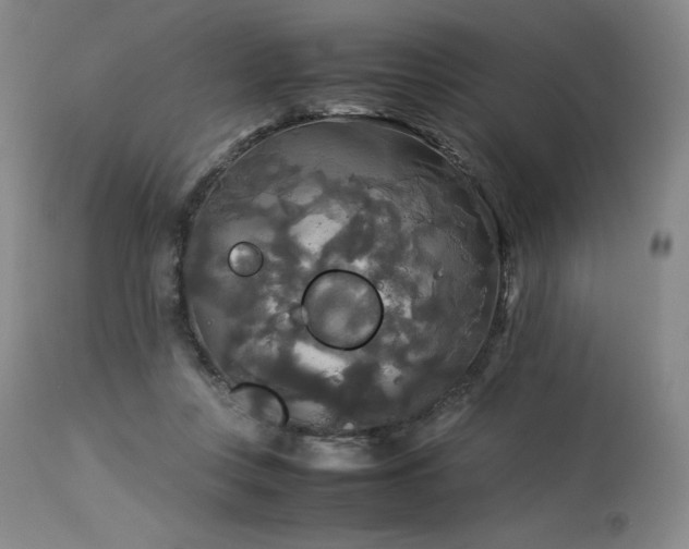 X0000114110359200910051519