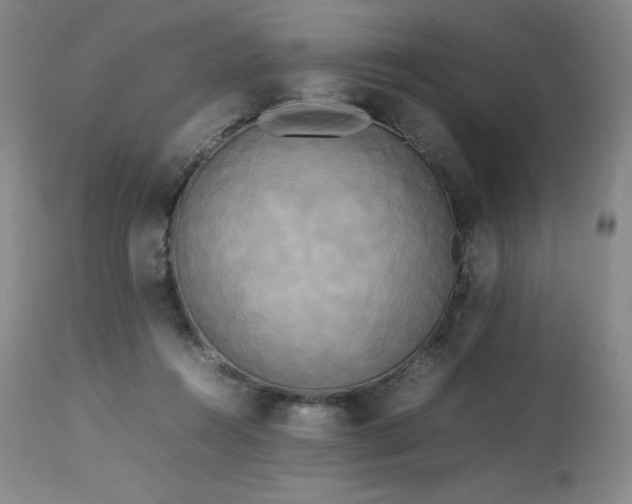 X0000114110360200910051519