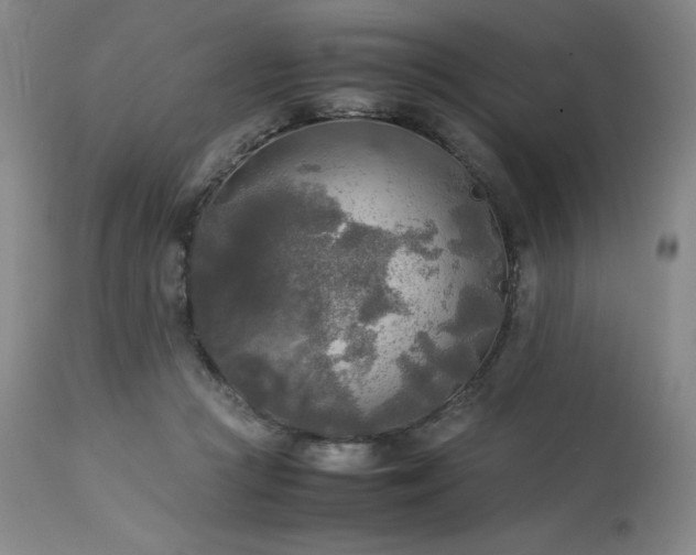 X0000114110361200910051519