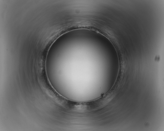 X0000114110362200910051519