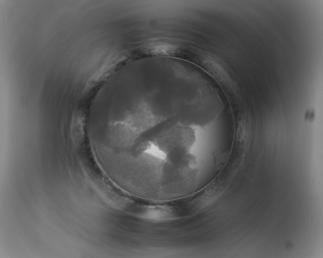 X0000114110363200910051519