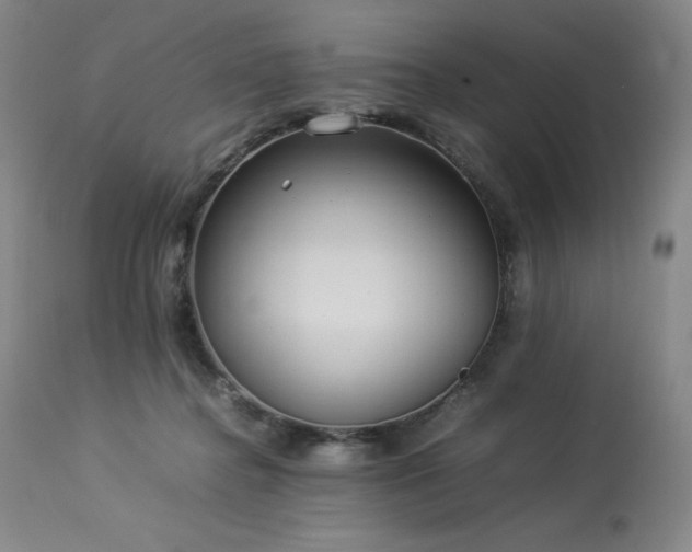 X0000114110364200910051519