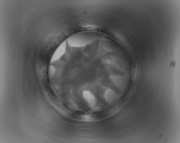 X0000114110365200910051519