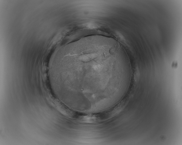 X0000114110366200910051519