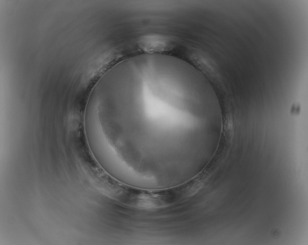 X0000114110367200910051519
