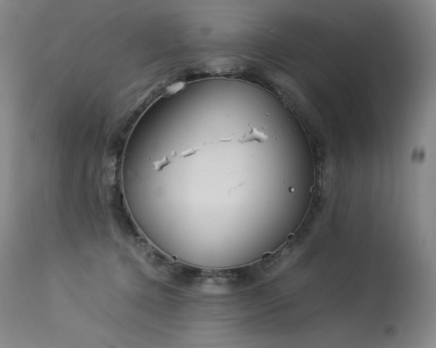 X0000114110368200910051519
