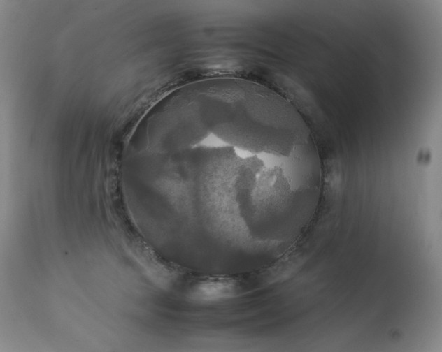 X0000114110369200910051519