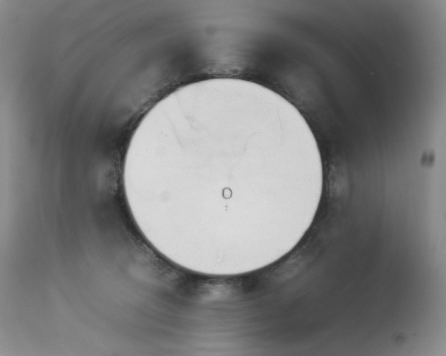 X0000114110370200910051519